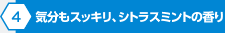 気分もスッキリ、シトラスミントの香り