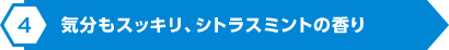 気分もスッキリ、シトラスミントの香り