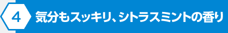 気分もスッキリ、シトラスミントの香り